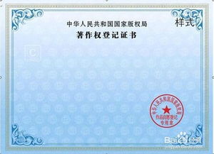 軟件著作權(quán)登記的關(guān)鍵注意事項(xiàng)及實(shí)務(wù)指南